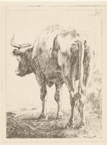 Koe in een landschap