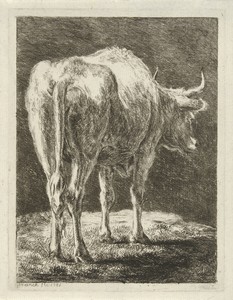 Koe in een landschap