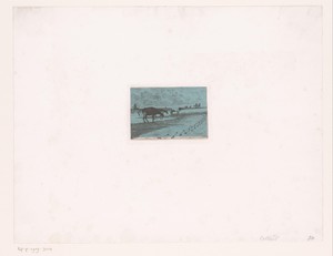 Koeien aan de kust