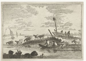 Koeien aan het water