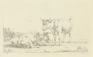 Koeien in een landschap