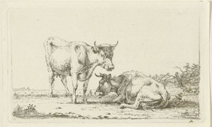 Koeien in een landschap