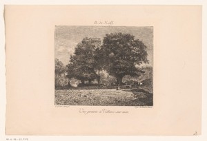 Koeien onder een boom in een heidelandschap