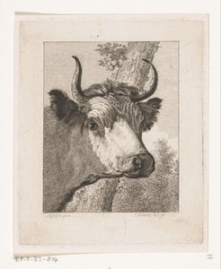 Koeienkop naar rechts