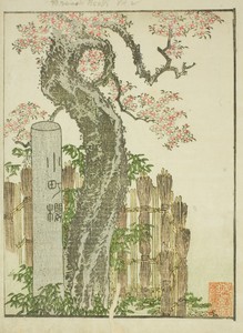 Komachi Cherry Tree (Komachi zakura), from the illustrated book "Picture Book of Amusements of the East (Ehon Azuma asobi)"