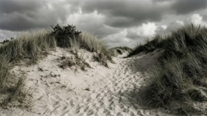 Kootwijkerzand Monochrome