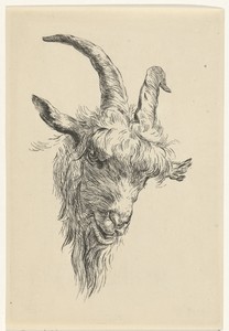 Kop van een bok