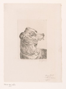Kop van een hond met de tong uit de bek