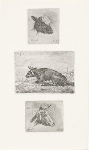 Kop van een kalf, liggende koe en kop van een stier