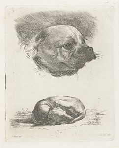Kop van een mopshond en Slapende hond