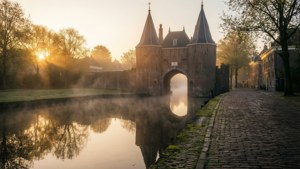 Koppelpoort Dawn Mist