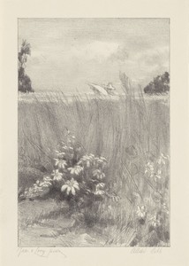 Korenveld bij Rome