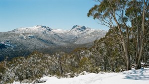 Kosciuszko Snow