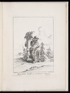 KOUANE TSAÏ ou Jardinier Chinois