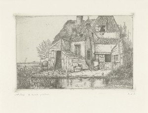 Krotwoning aan een beek