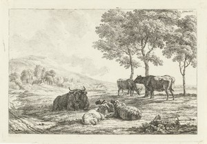 Kudde schapen en stieren onder de bomen