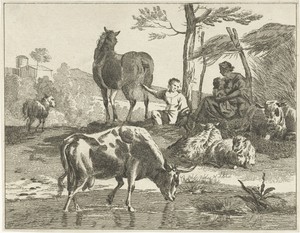 Kudde vee in heuvelachtig landschap