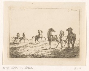 Kudde wilde paarden