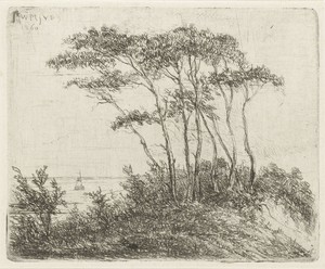 Kustlandschap met groep bomen op duin