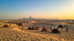 Kuwait Desert Dusk