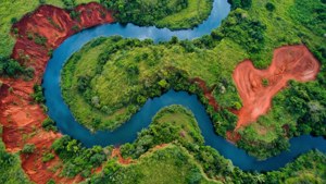Kwanza River Serpent