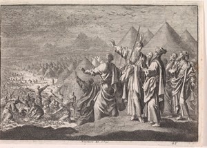 Kwartels in de woestijn