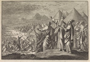 Kwartels in de woestijn