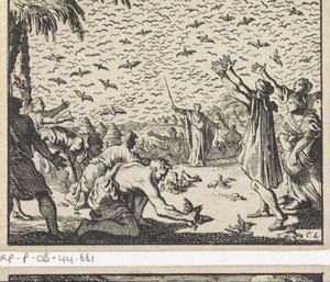 Kwartels in de woestijn