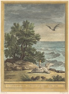 La chauve-souris, le buisson et le canard (The Bat, the Bush, and the Duck)