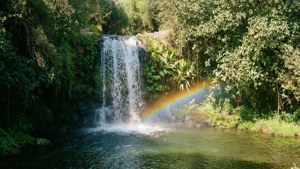 La Mesa Waterfall