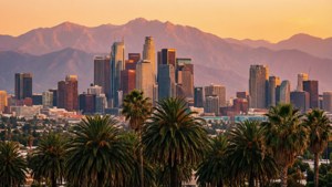 LA Skyline Dusk Palm