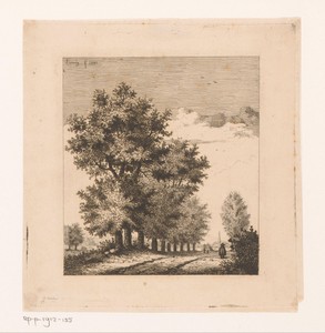 Laan in de polder bij Merksem