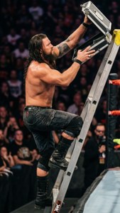 Ladder Climb TLC