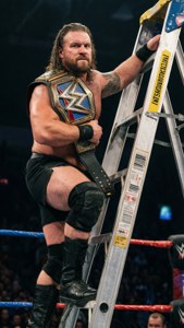 Ladder Match Climber