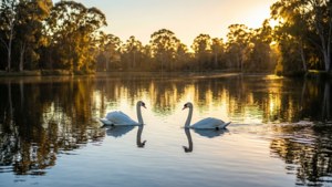 Lake Annand Golden Hour