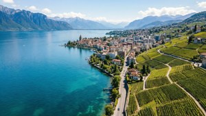 Lake Geneva Aerial