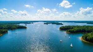 Lake Guntersville Aerial Panorama
