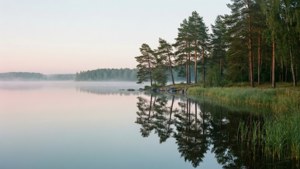 Lake Mälaren Mist
