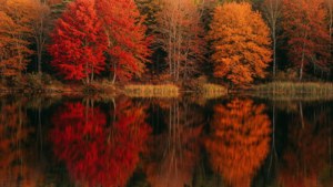 Lake of Autumn Colors