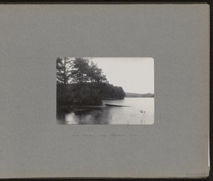 Lake Walden near Thoreau's Cove