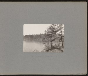 Lake Walden, North Shore