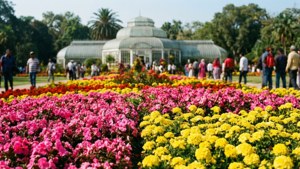 Lalbagh Flower Show Spectacle