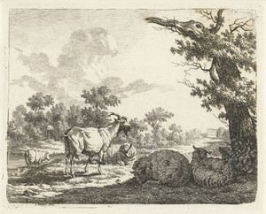 Landgoed met schapen en een geit