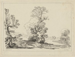 Landscape