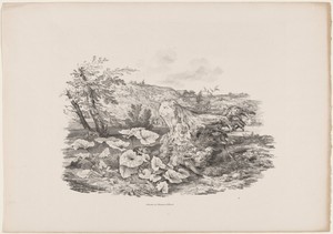 Landscape with a Tree Trunk