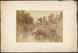 [Landscape with pond]