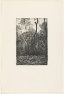 Landscape with trees