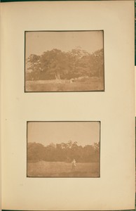 [Landscape with Trees and Field]