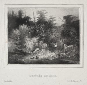 Landscapes:  The Entrance of a Forest