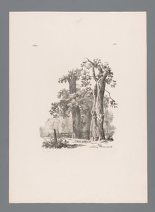 Landschap